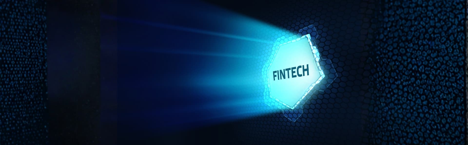 Fintech Security and Compliance Audit