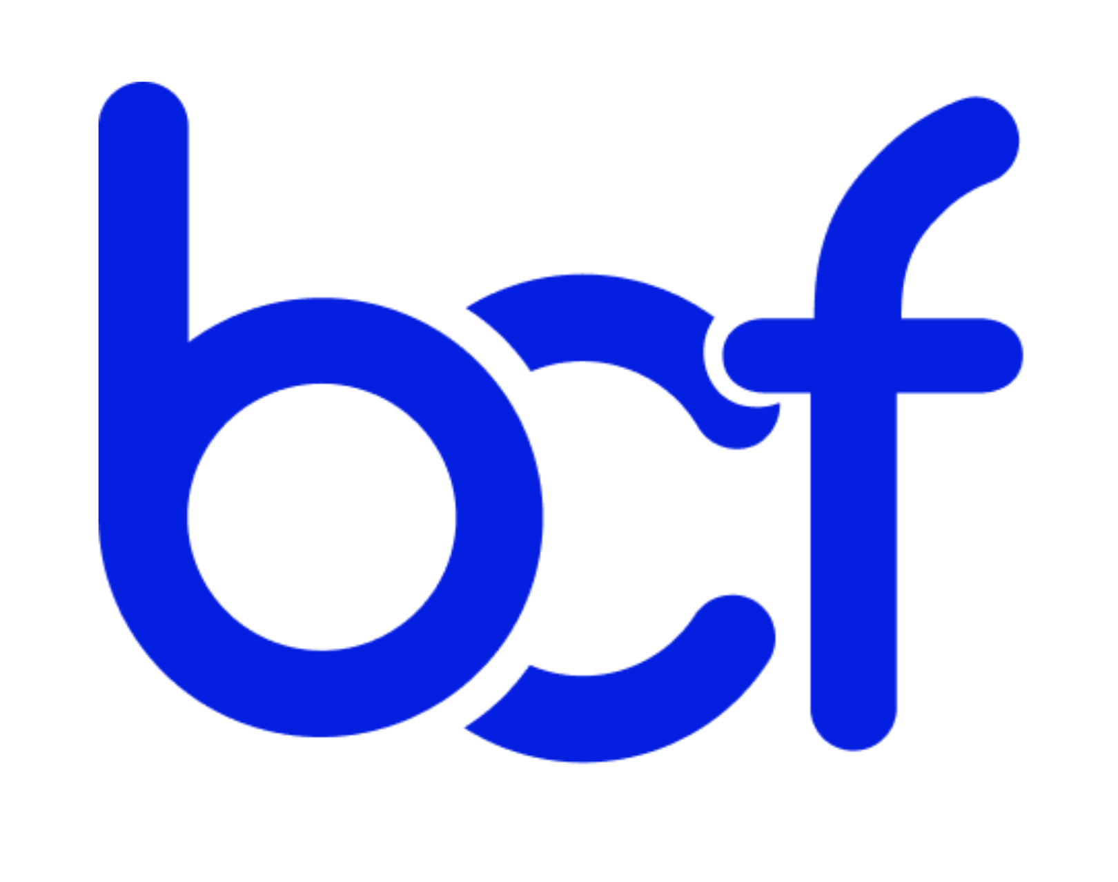 BCF Software